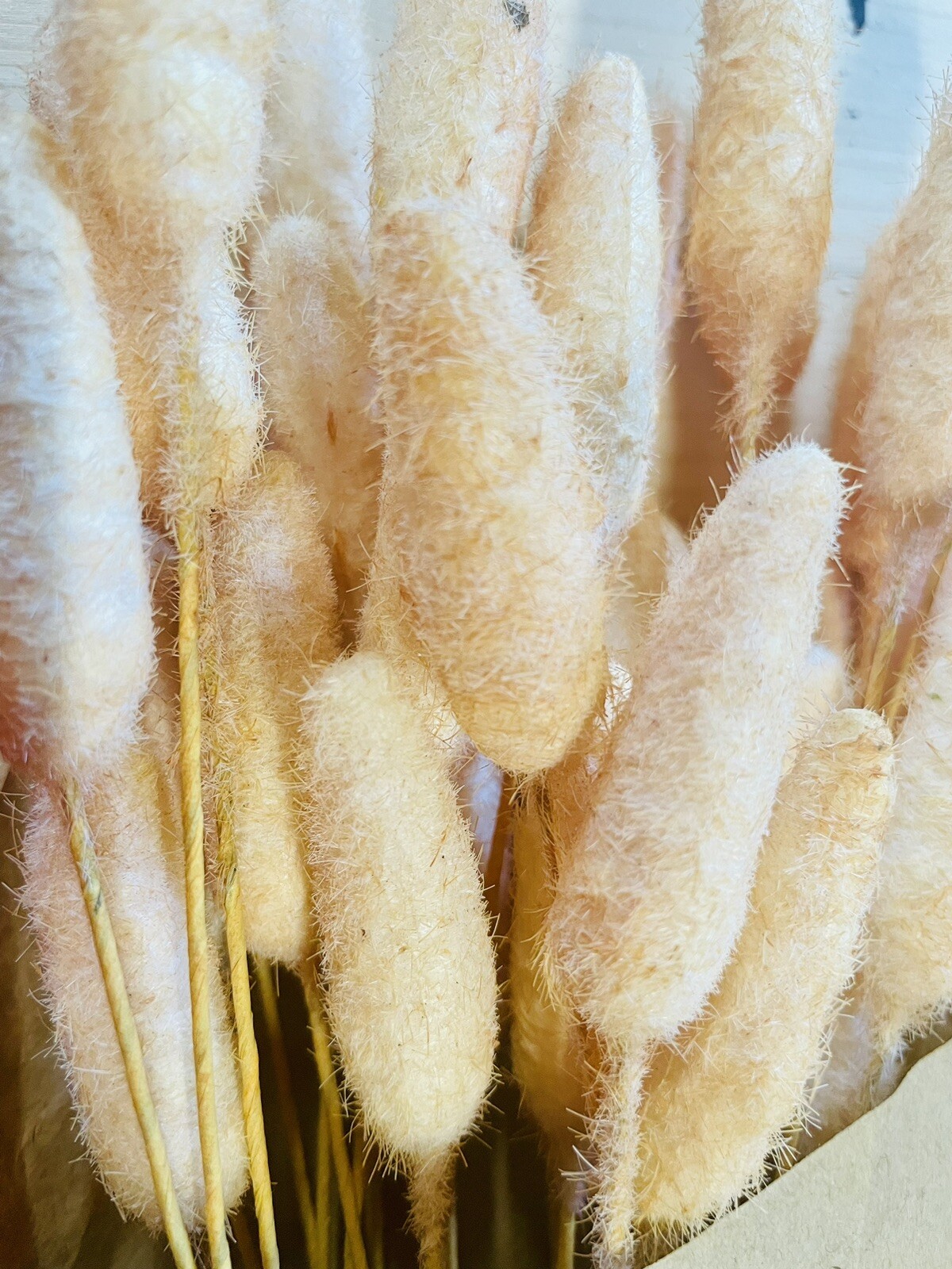 Bunny Tails Spring Or Fall Bouquet NEW