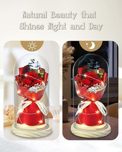 Preserved Rose Bouquet Glass Dome LED Real Flowers Gift for Her Mothers Day