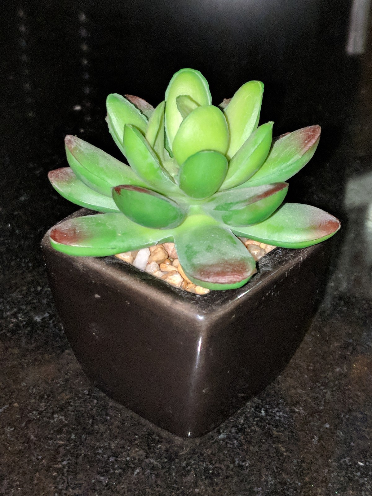Small Artificial Succulents Black Ceramic Pots 4 PCS