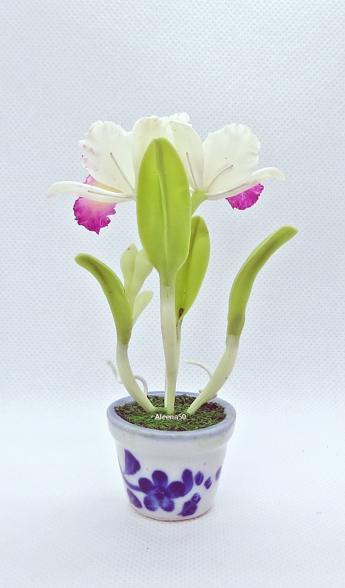 US Stock 4″H Handmade Miniature Air-Dry-Clay-Crafted Catalunya Orchid Arranged.