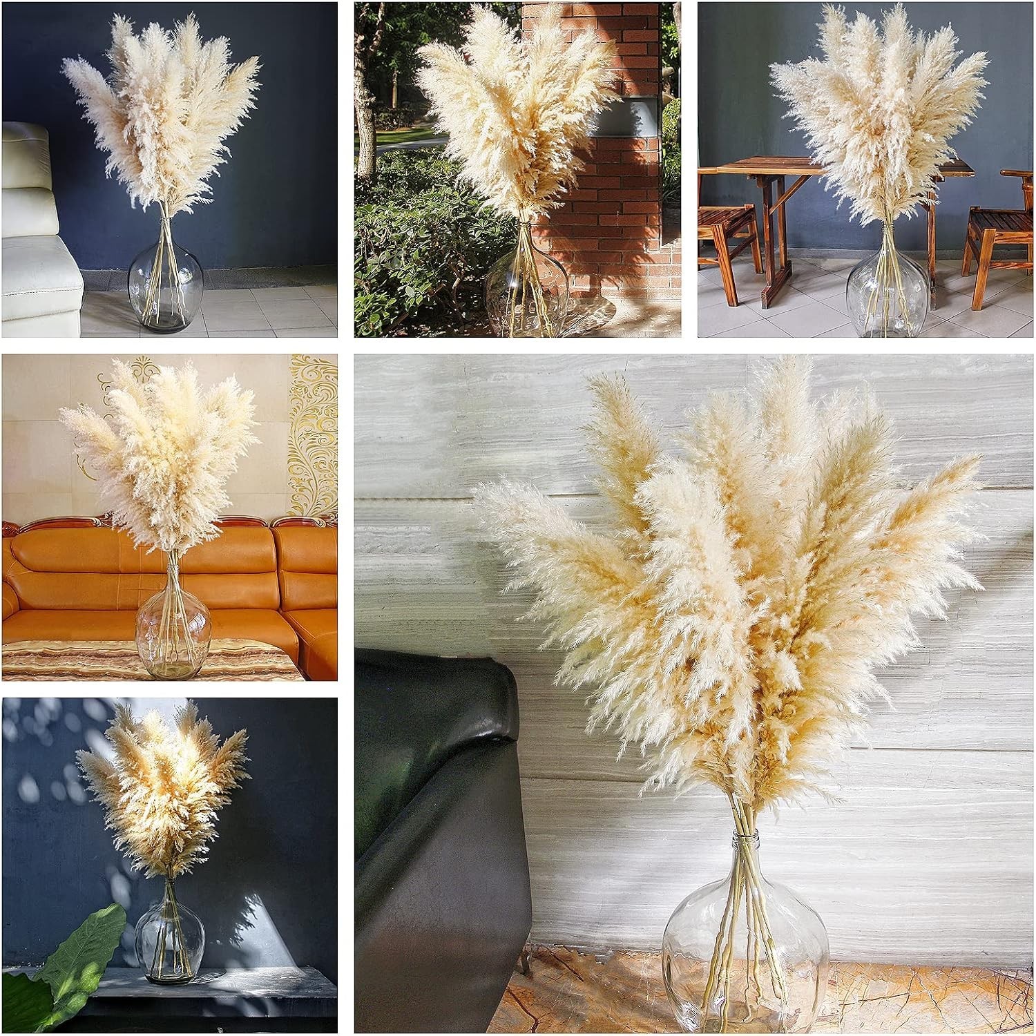 10 Stems 46″ inch Dried Pampas Grass Decor Tall, Large Pompas Grass, Boho Neu…