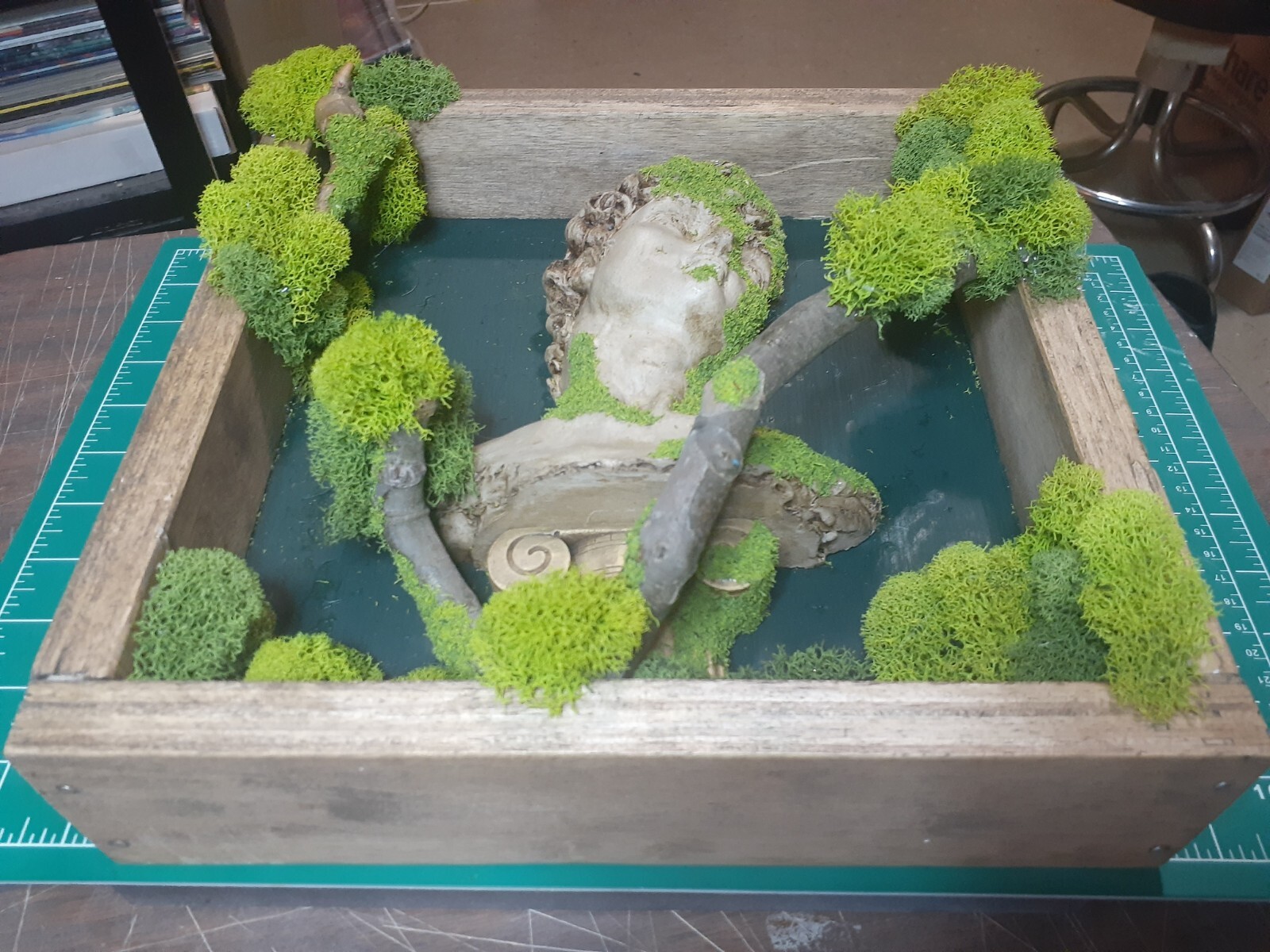Reindeer Moss/ THE DAVID Forest Shadow Boxes 12″ x 12″ x 3″ inches