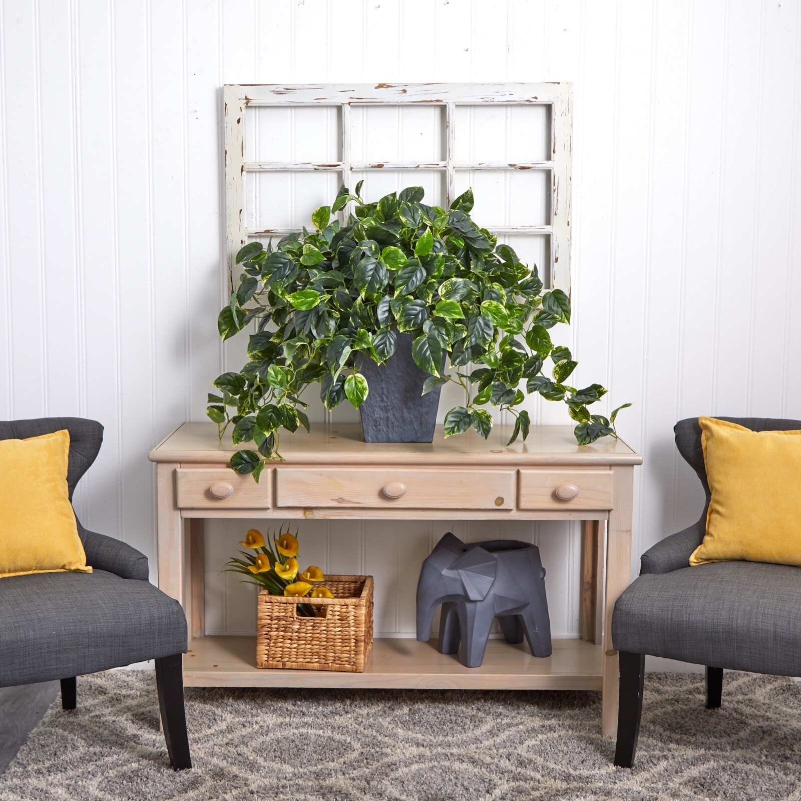 29” Hanging Pothos w/585 lvs in Slate Planter UV (Indoor/Outdoor). Retail $209