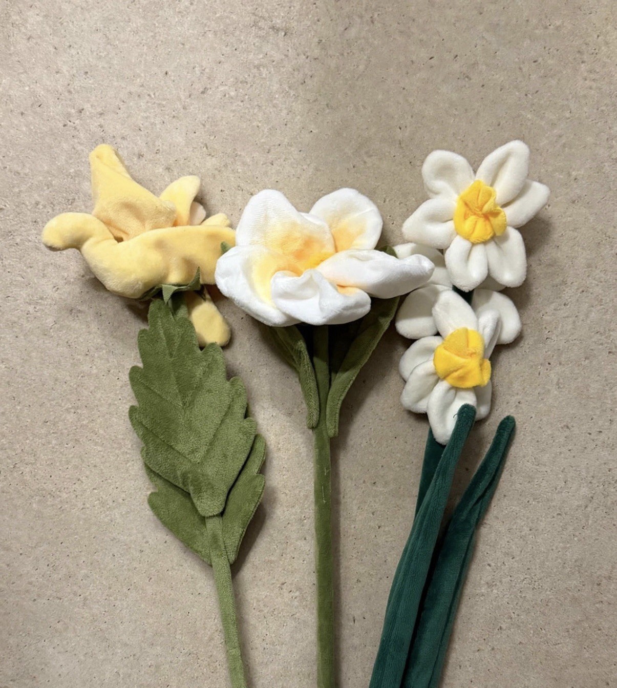 *RARE* CJ Hendry flower bundle – Natives – Yellow Balsam, Frangi + OG orchid