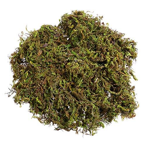 1 Pack Artificial Moss Fake Lichen Simulation Green Faux Pot Moss for DIY
