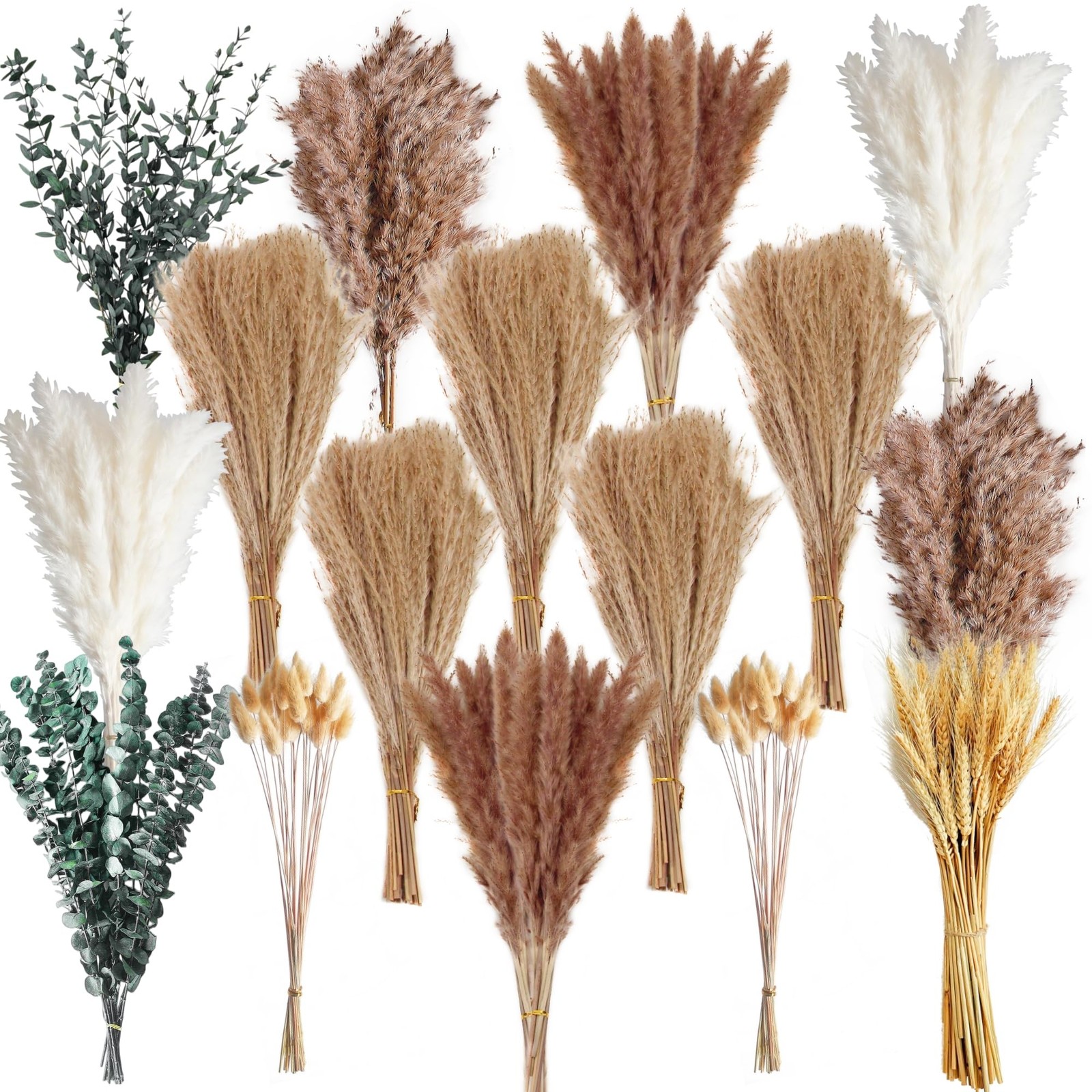 355PCS Dried Pampas Grass Bouquet Set – Brown Pampas Grass & White Pampas Gra…