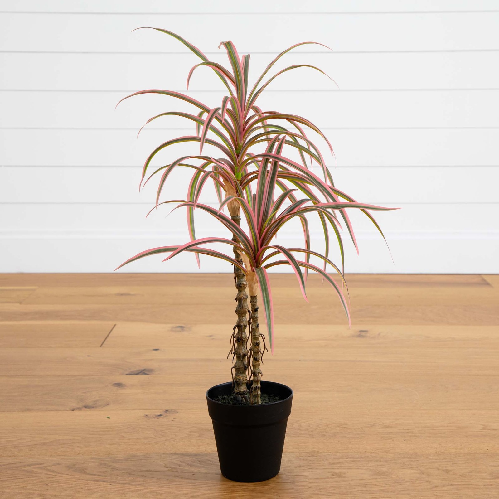 2 Foot Artificial Dracaena Marginata Plant Lifelike Indoor Desktop Decor