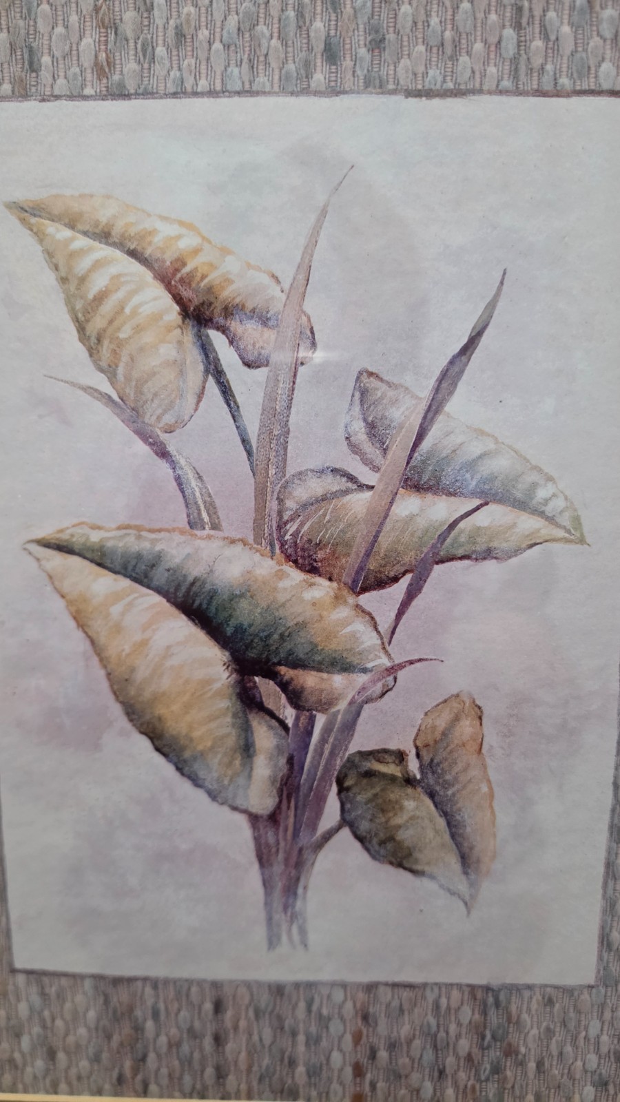 Philodendron Princess Leaves in 23″ X 19″ Gold Frame