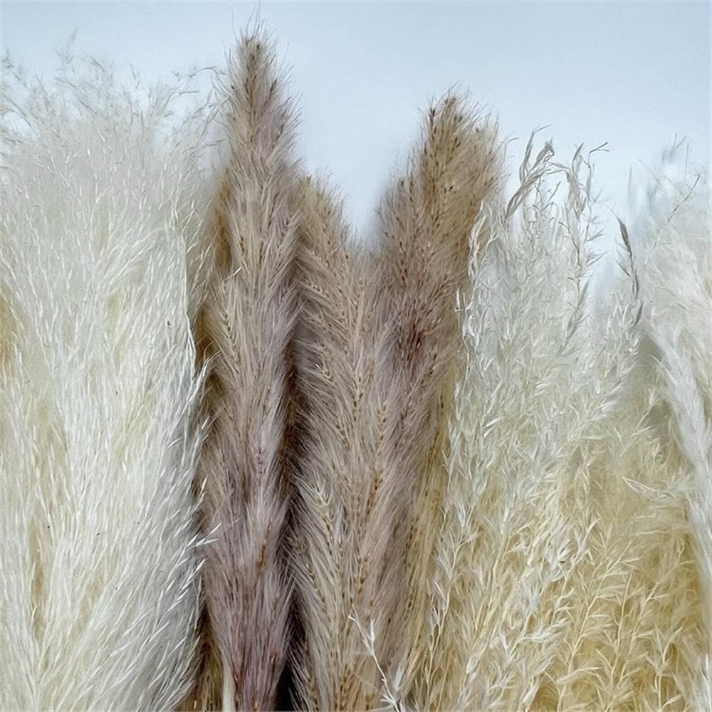 Pemberly Row 10-inch High Real Preserved Mixed Bouquets in Small Size