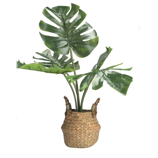Artificial Plant in Rattan Basket 68 cm by Gisela Graham