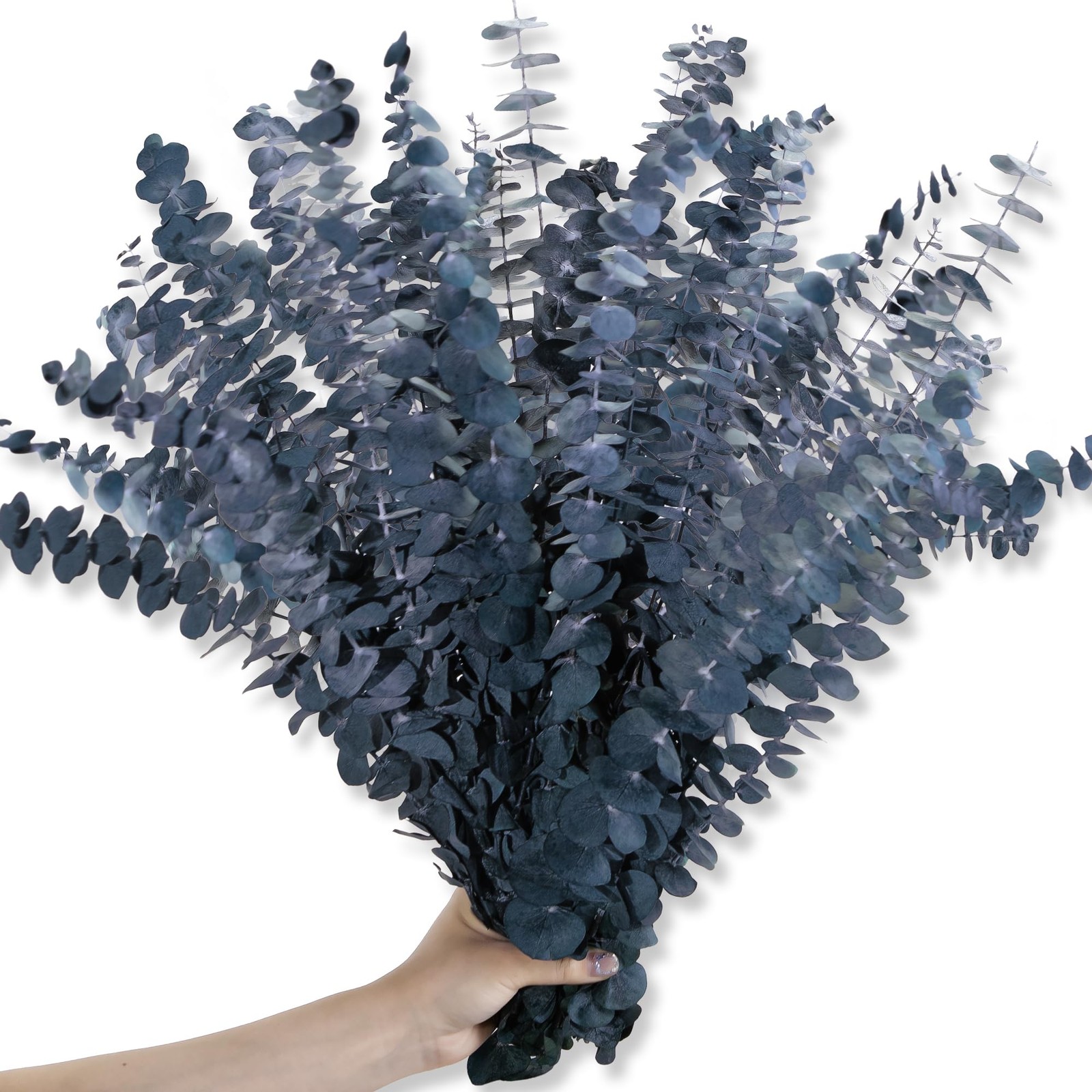 26Pcs Real Dried Eucalyptus Stems, 17″ Blue-Green Preserved Eucalyptus Stems …