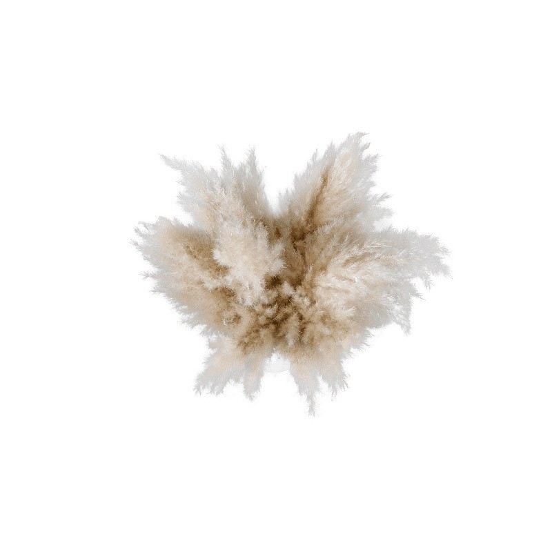 22″ Dried Pampas Grass Arrangement in Ceramic Vase Boho Home Decor Accent New