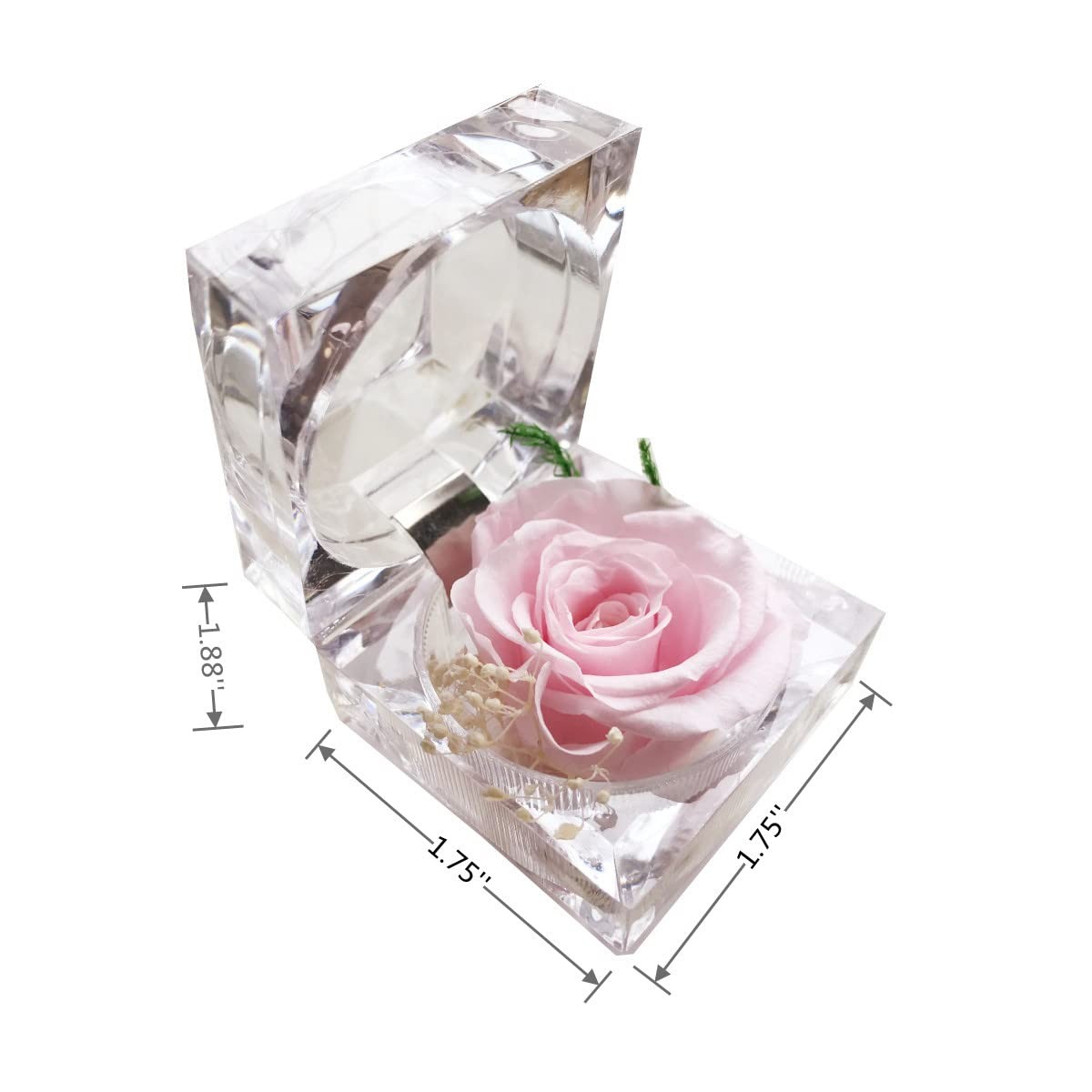 Preserved Rose Real Forever Rose in Mini Clear Ring Box, Eternal Flower Rose Gif