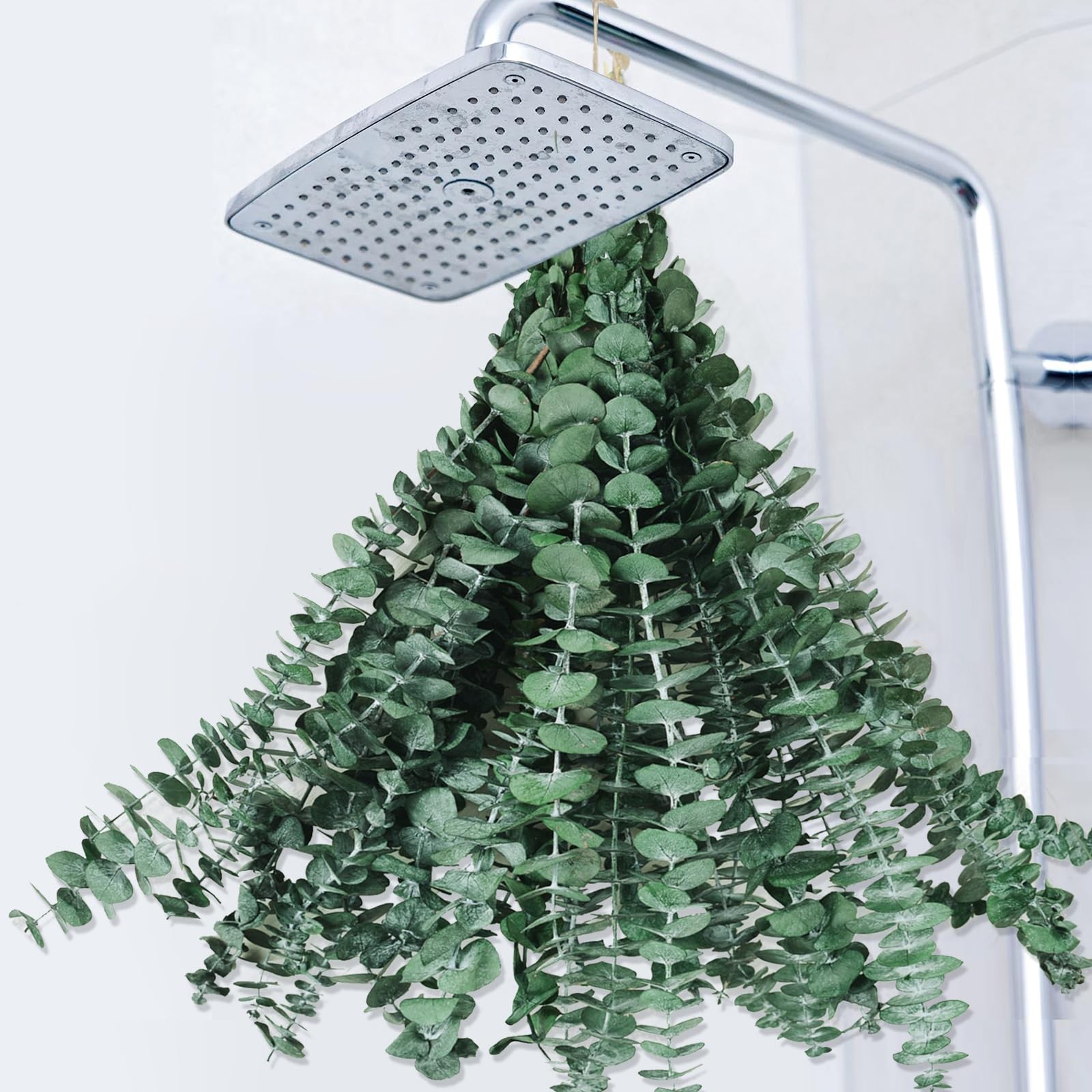 Dried Eucalyptus Bundle 22 Stems 17″ Fresh Real Leaves for Shower – Natural