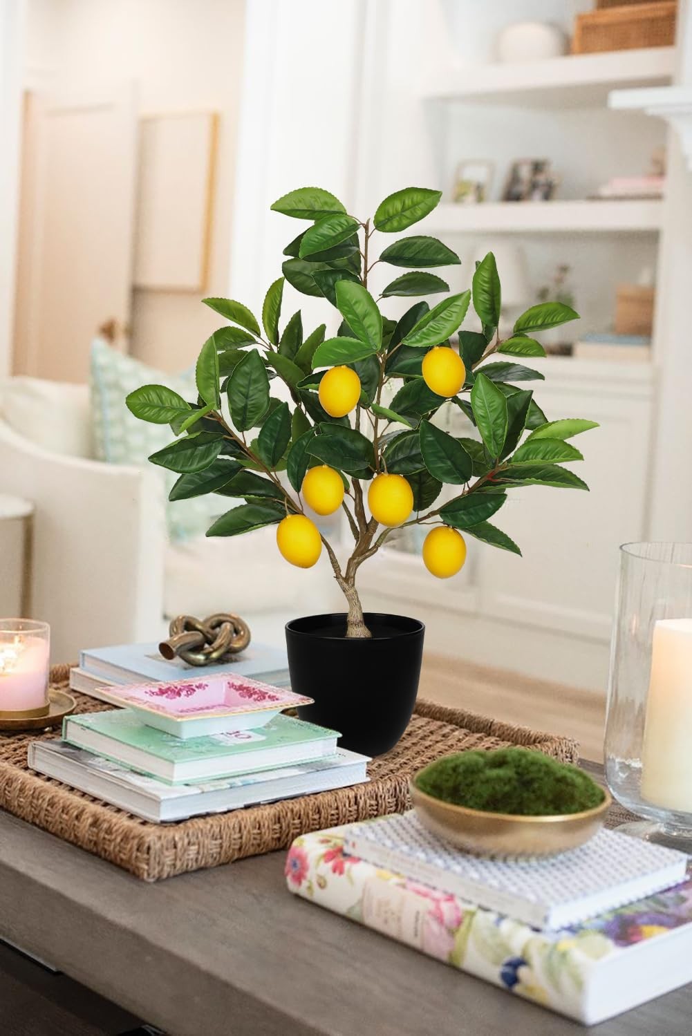 Artificial Potted Plants 19.7 Inch Small Fake Lemon Citrus Tree Black Pot