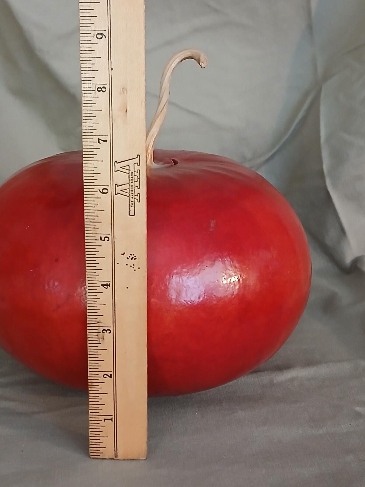 Large Apple Fall Perfect Natural Gourd Dried Decor Painted Red6 x 8 in
