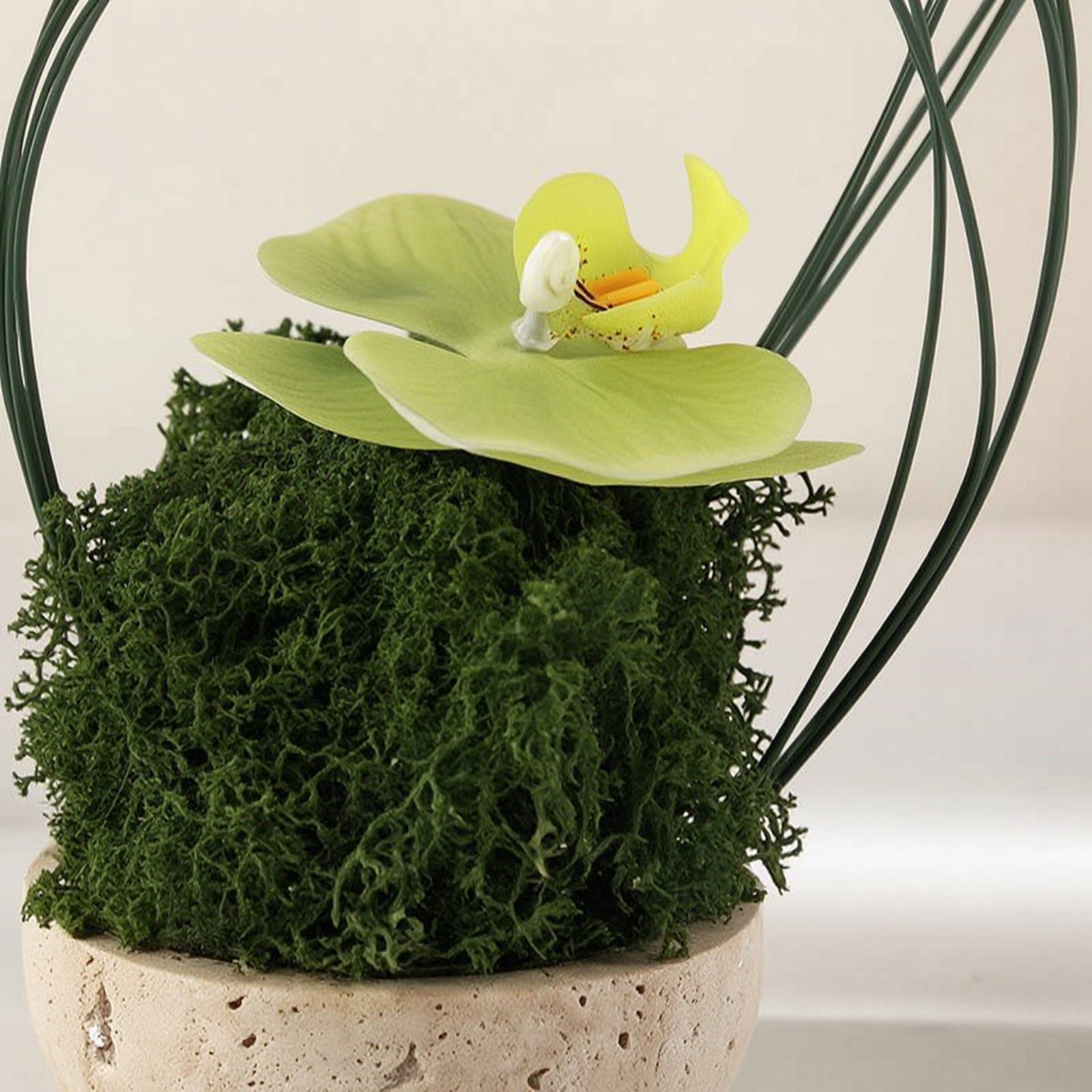 Artificial Orchid in Planter Maintenanceno Upkeep Orchid with Ceramic Pot