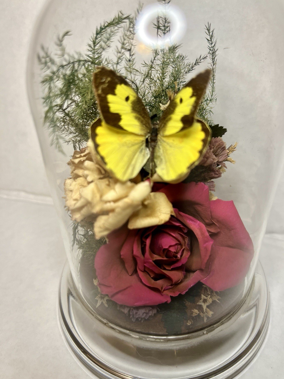 Vintage 90s Natural Expressions Dried Roses Butterfly Glass Terrarium Grannycore