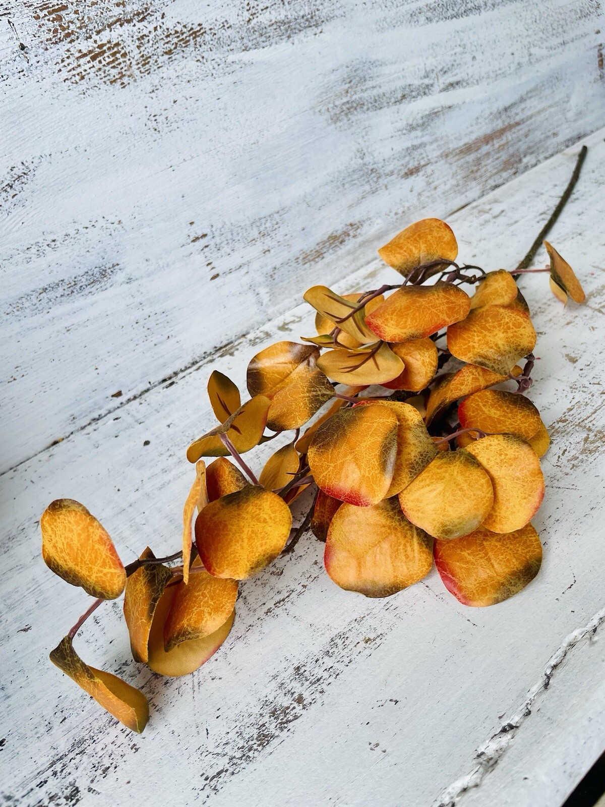 Gold Eucalyptus Pick, 28” One Pick Only