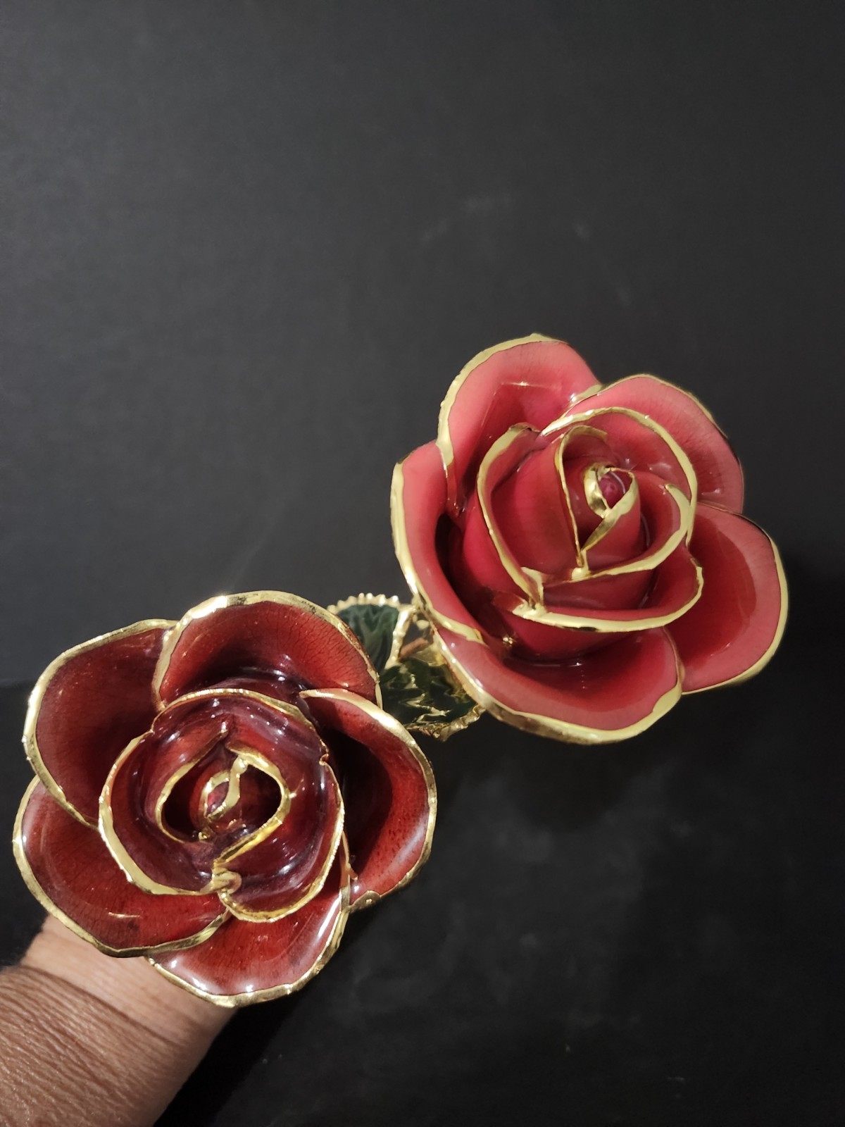 Red ToneRose Preserved in Lacquer with 24k Gold Plating on Petals,Stem Set Of 2