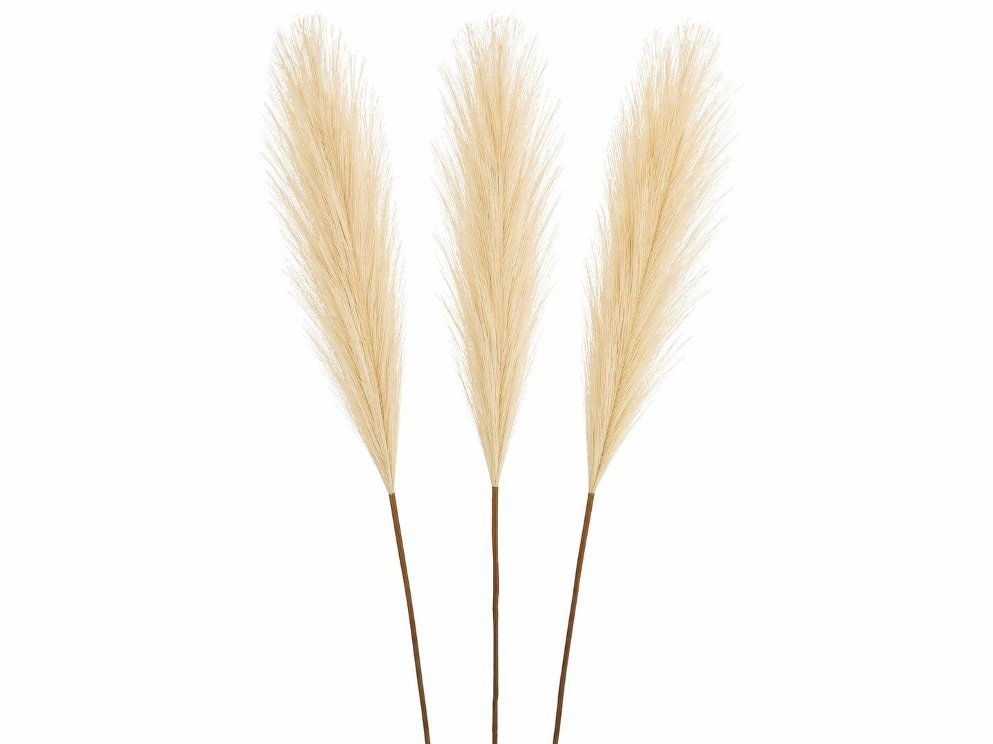 Cream Pampas Grass 3 Stem Faux Pampas Beige Boho Decor Neutral Vase Filler Farmh