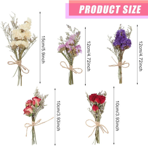 10 Pack Dried Flower Forget Me Not Bouquets Natural Dried Flower with Stem