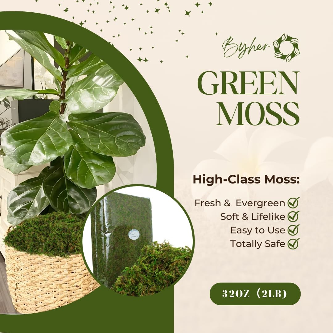 35 oz Green Artificial Moss Indoor Craft Fairy Garden Table Centerpiece Decor