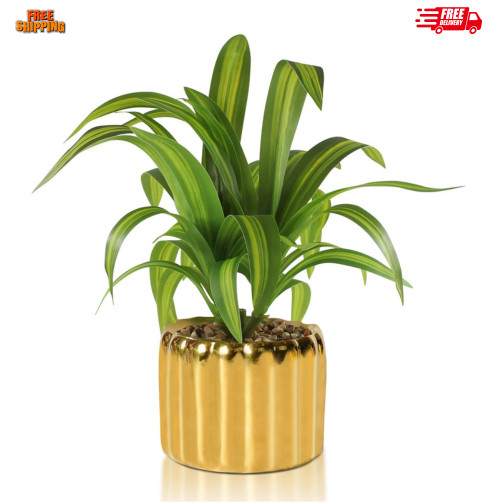 9″ Artificial Dracaena Plant with Textured Leaves Golden Ceramic Pot Realistic F