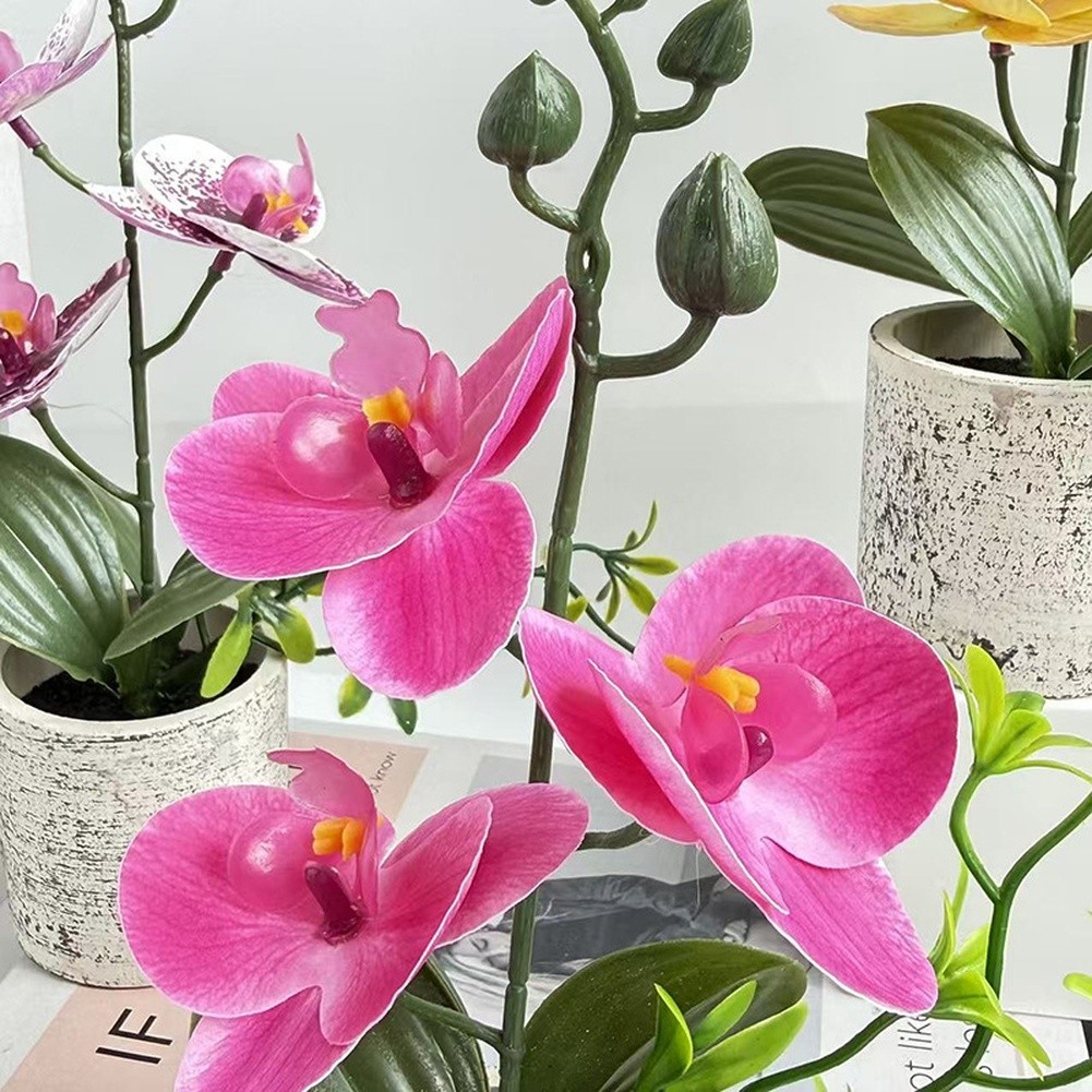Realistic Artificial Butterfly Orchid Potted Plant 25.5cm for Wedding Decor