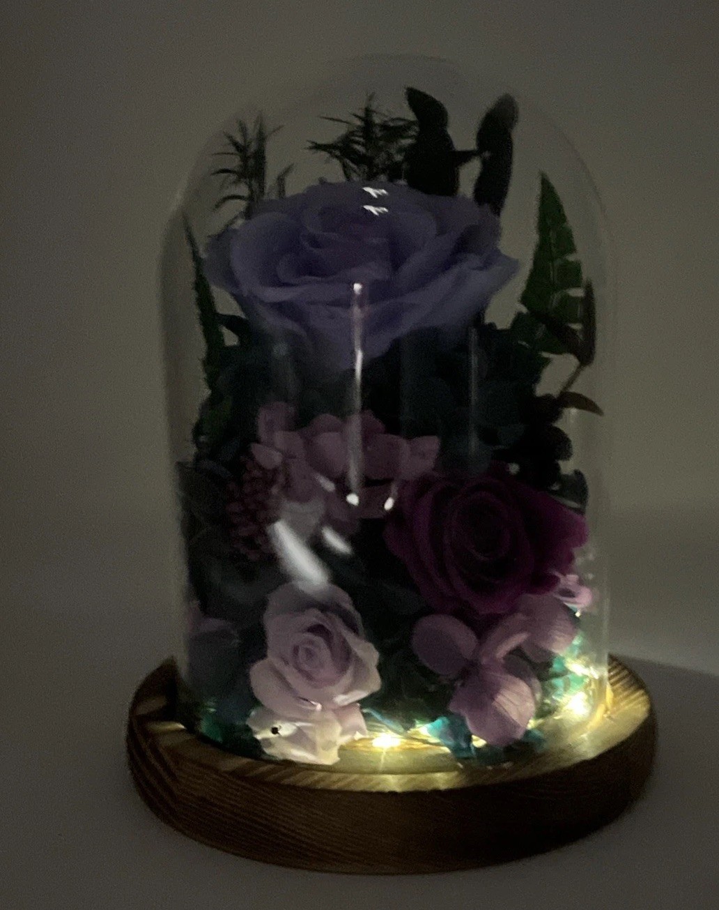 Glass Dome Preserved Roses Flowers in Lighted Wood Base