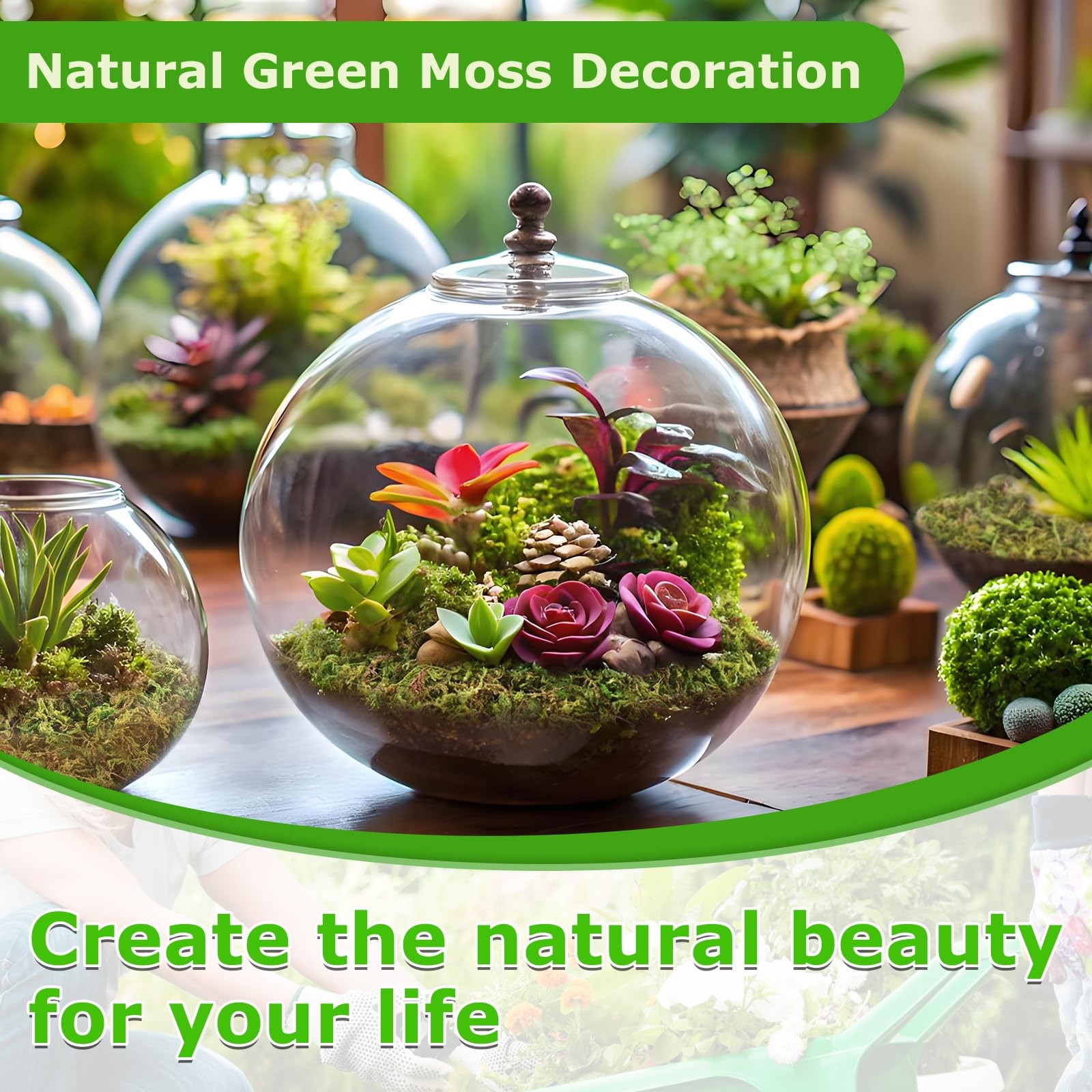3.5 OZ Green Moss for Plants Indoor, Crafts Moss for Artificial Plants, Decor…