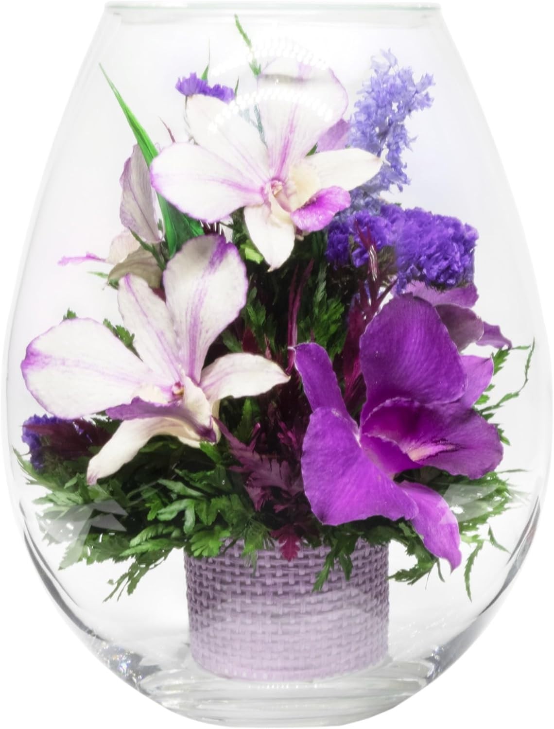 Fiora Flower Elegant Orchid Arrangement in Glass Vase Preserved Real Orchids L