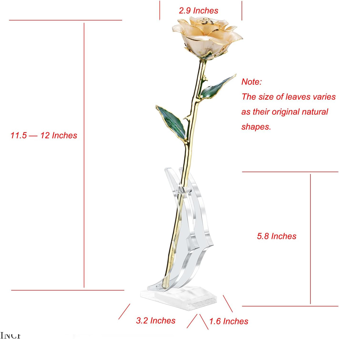 24K Gold Dipped Rose, Gold Dipped Rose Made from Real Rose Best Gifts for Her an