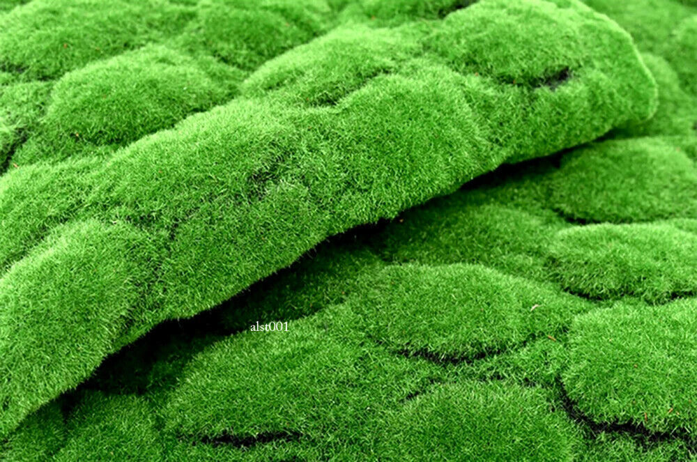 New Artificial Moss, Fake Green Plants, Room and Garden Decoration