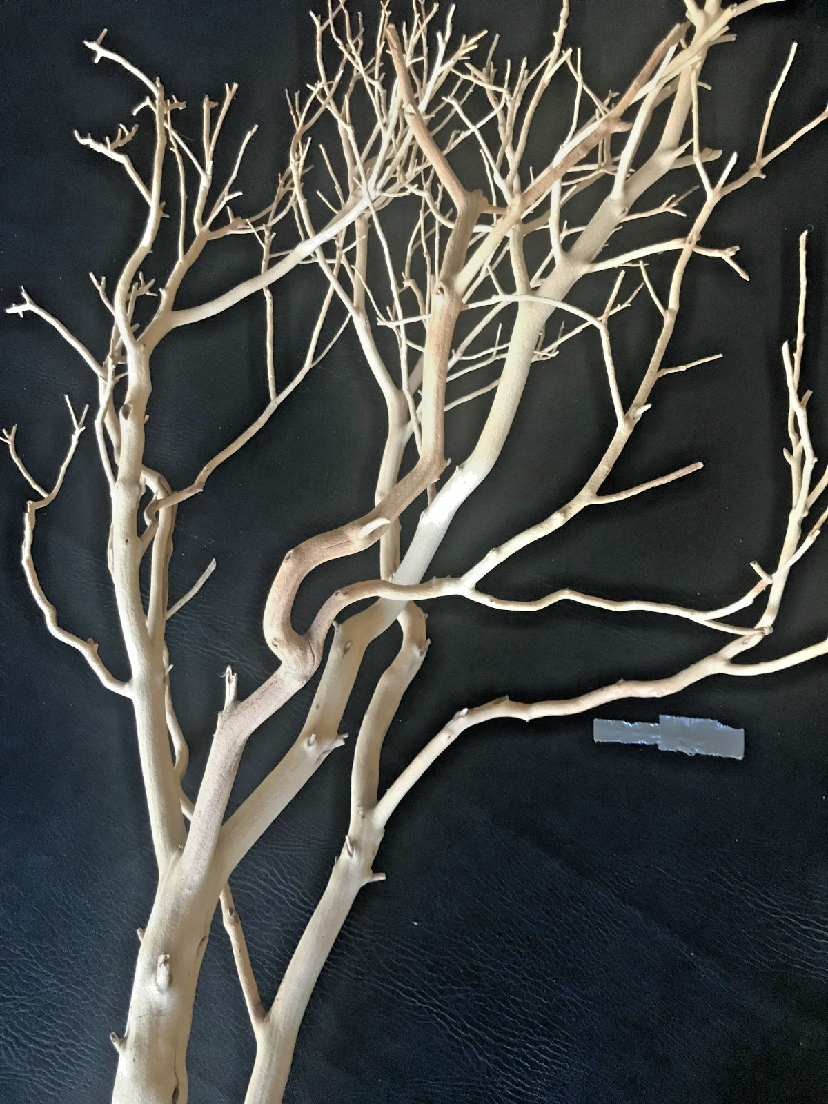MANZANITA SAND BLASTED BRANCHES [ 3 ]