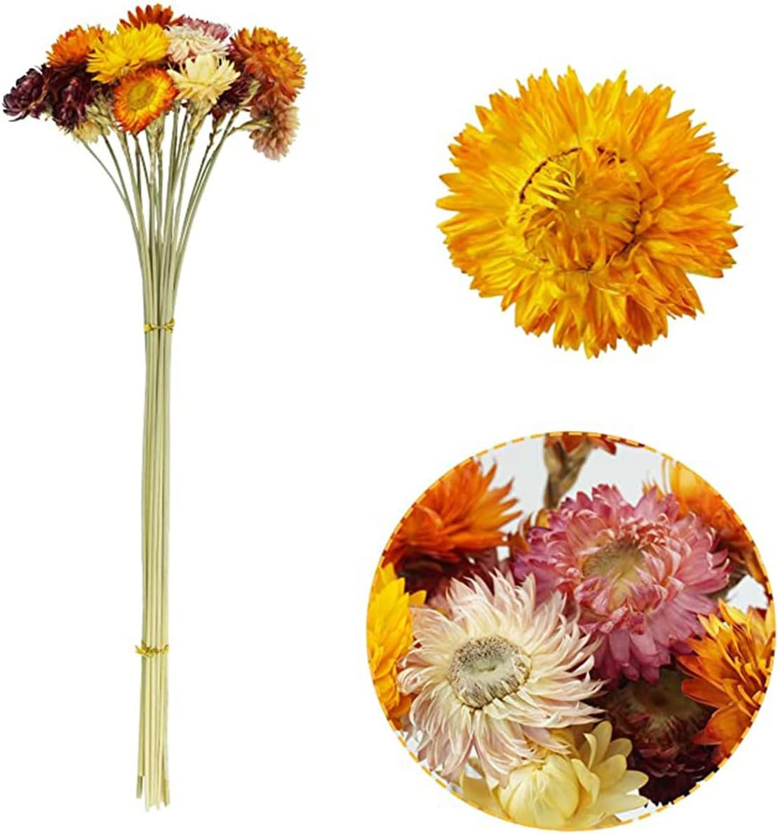 40 Pcs Natural Dried Daisies, Dried Daisy Flowers Bouquet with Stem for Wedding