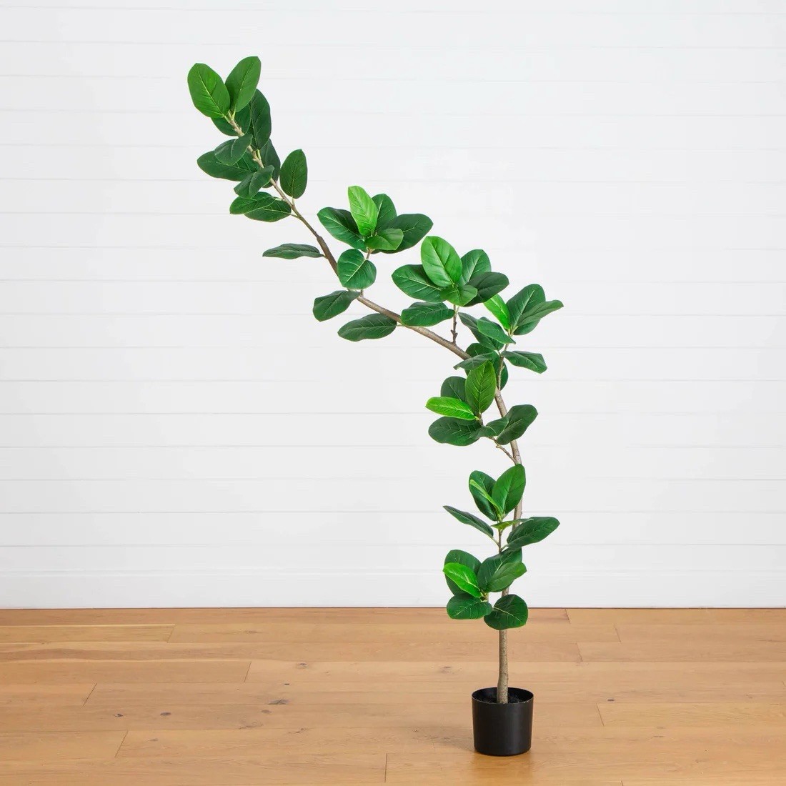 7′ Artificial Curved Trunk Audrey Ficus Tree