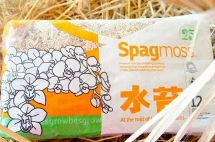 Sphagnum Moss Nursery Orchid Plant New Zealand Besegrow Long Fiber Decorationx 6