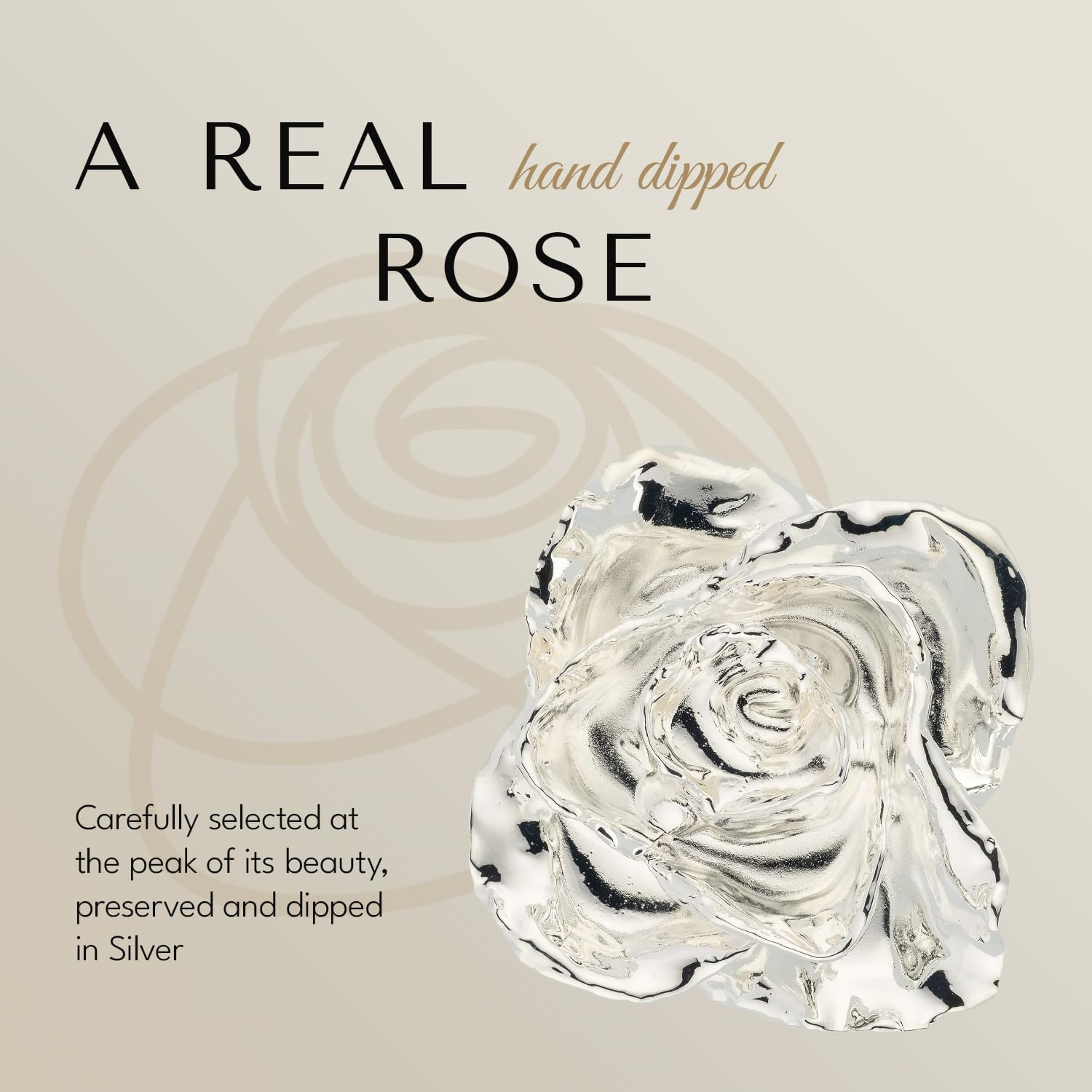 Hand Dipped Silver Rose & Phantom Vase | Unique Valentine’s Gift Bundle