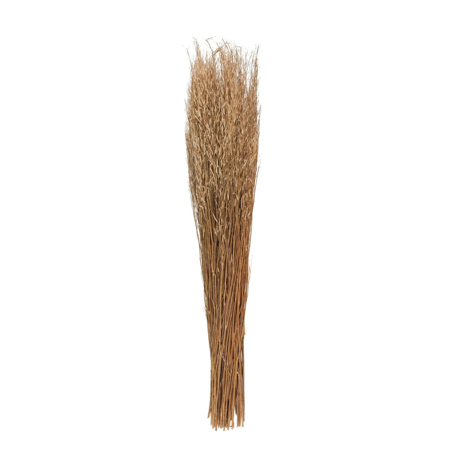 42″ Tall Sticks Dried Plant Natural Foliage Bouquet with Grass,