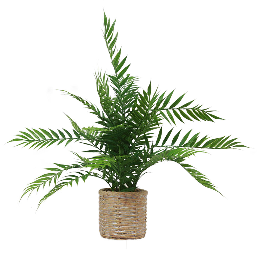 Artificial Fern Plants in Pots for Home Decor Indoor and Outdoor 16” Tall