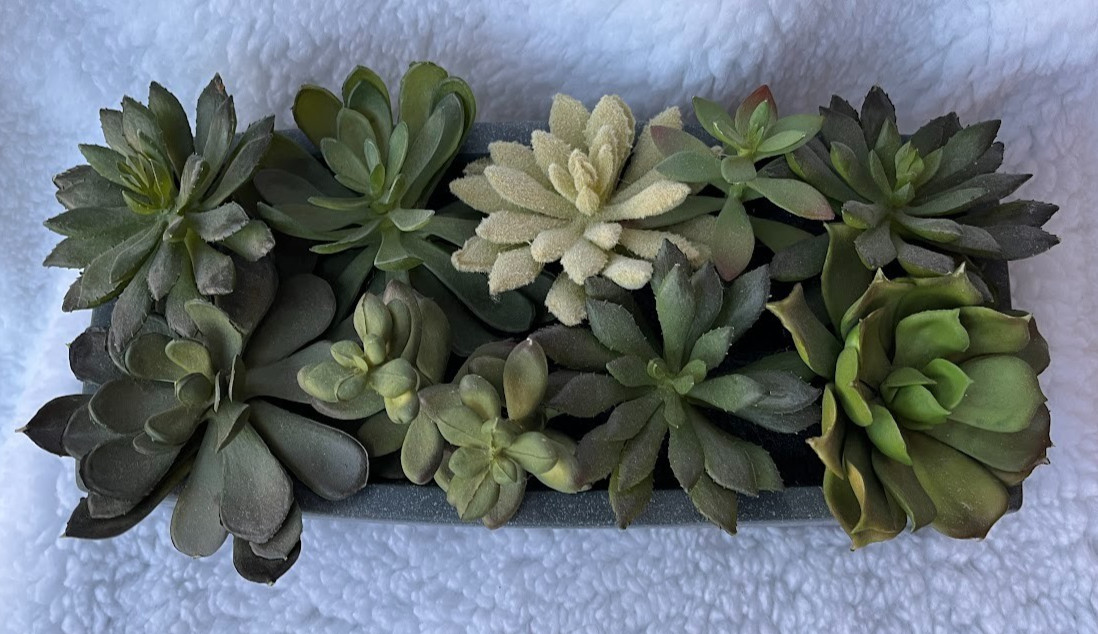 CRATE & BARREL ~ FAUX SUCCULENT ARRANGEMENT IN GRAY CERAMIC PLANTER ~ 12″x5″x3″