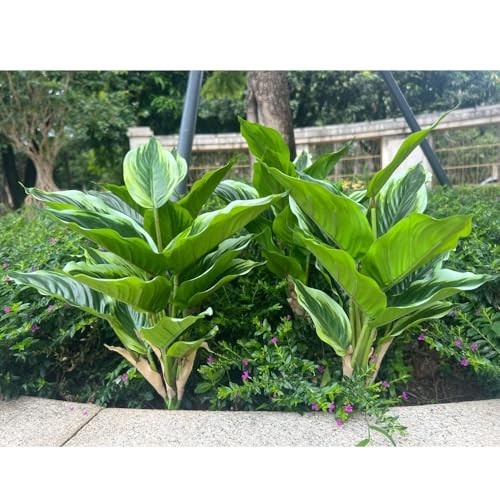 4 Perennial Hosta Faux Plants – Variegated Green Leaves, 15.7″ Tropical Decor, I