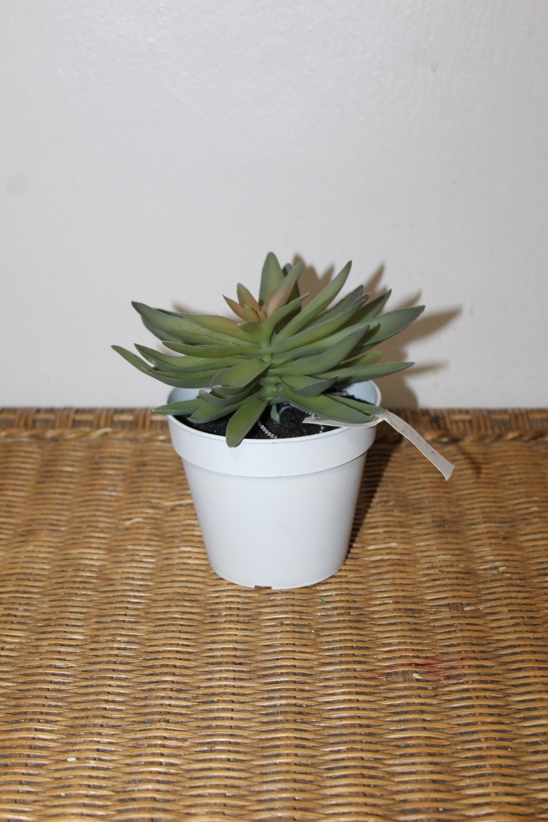 Williams Sonoma Artificial Potted Succulent (Rosette Style)
