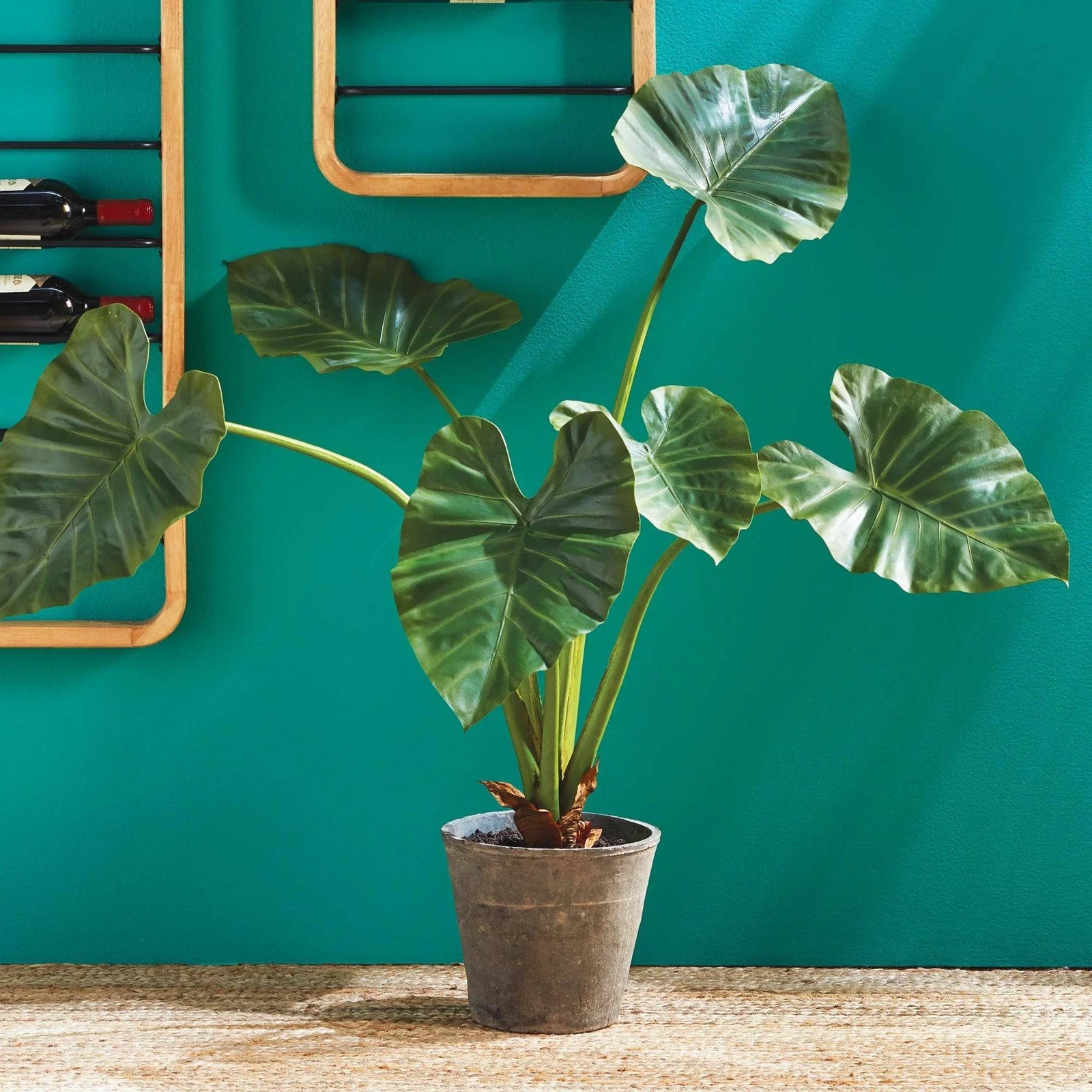 Artificial Elephant Ear Plant – Organic Design, 42″ Tall