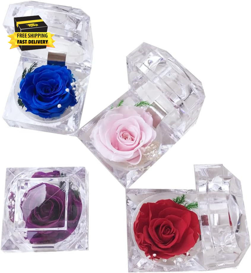 Preserved Rose Real Forever Rose in Mini Clear Ring Box, Eternal Flower Rose Gif