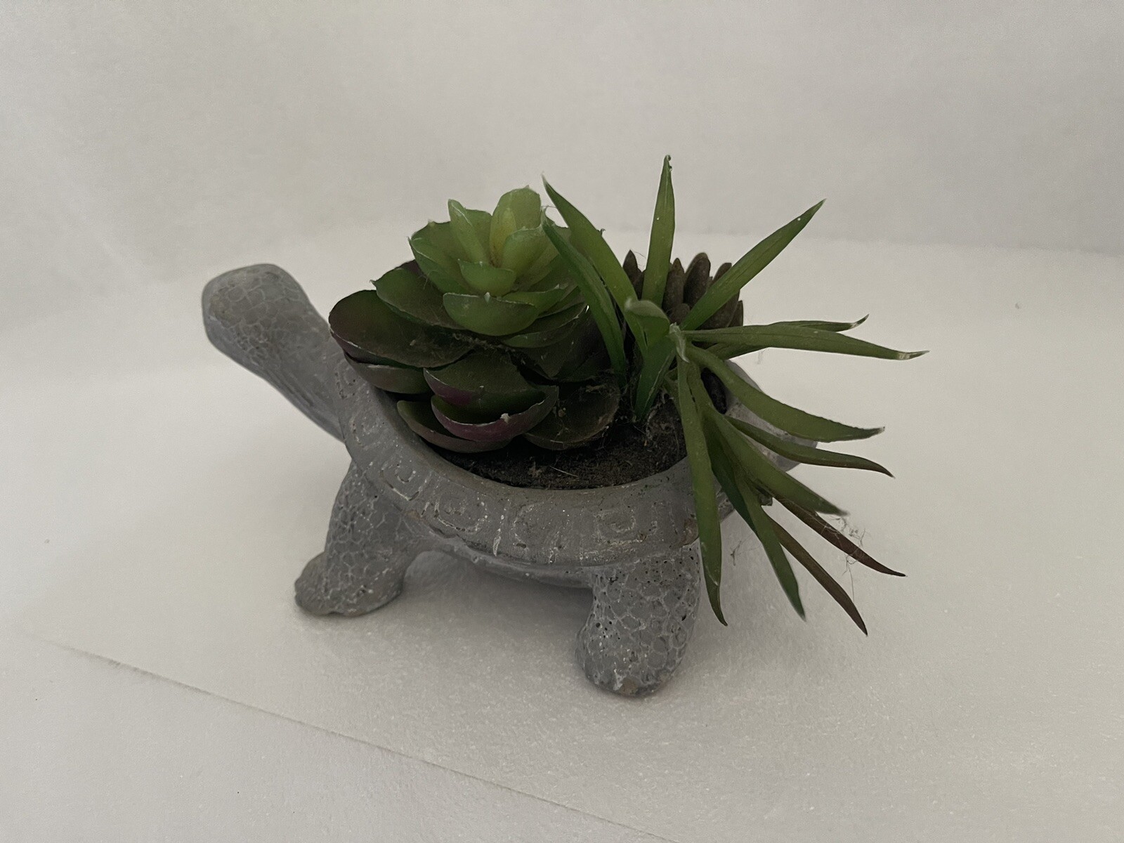 Carved Stone Turtle Potted With Faux Succulent Plants Garden Home Decor Swirls