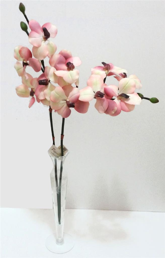 Butterfly Orchid Stems Choose Color