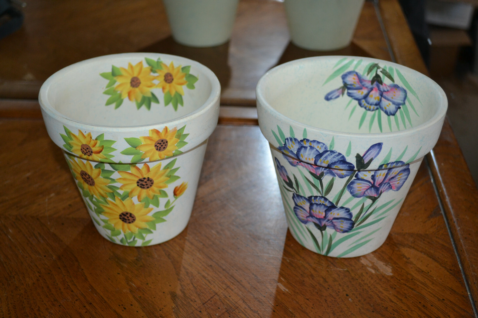 A pair of painted 5 1/4″ terracotta indoor plant pots.