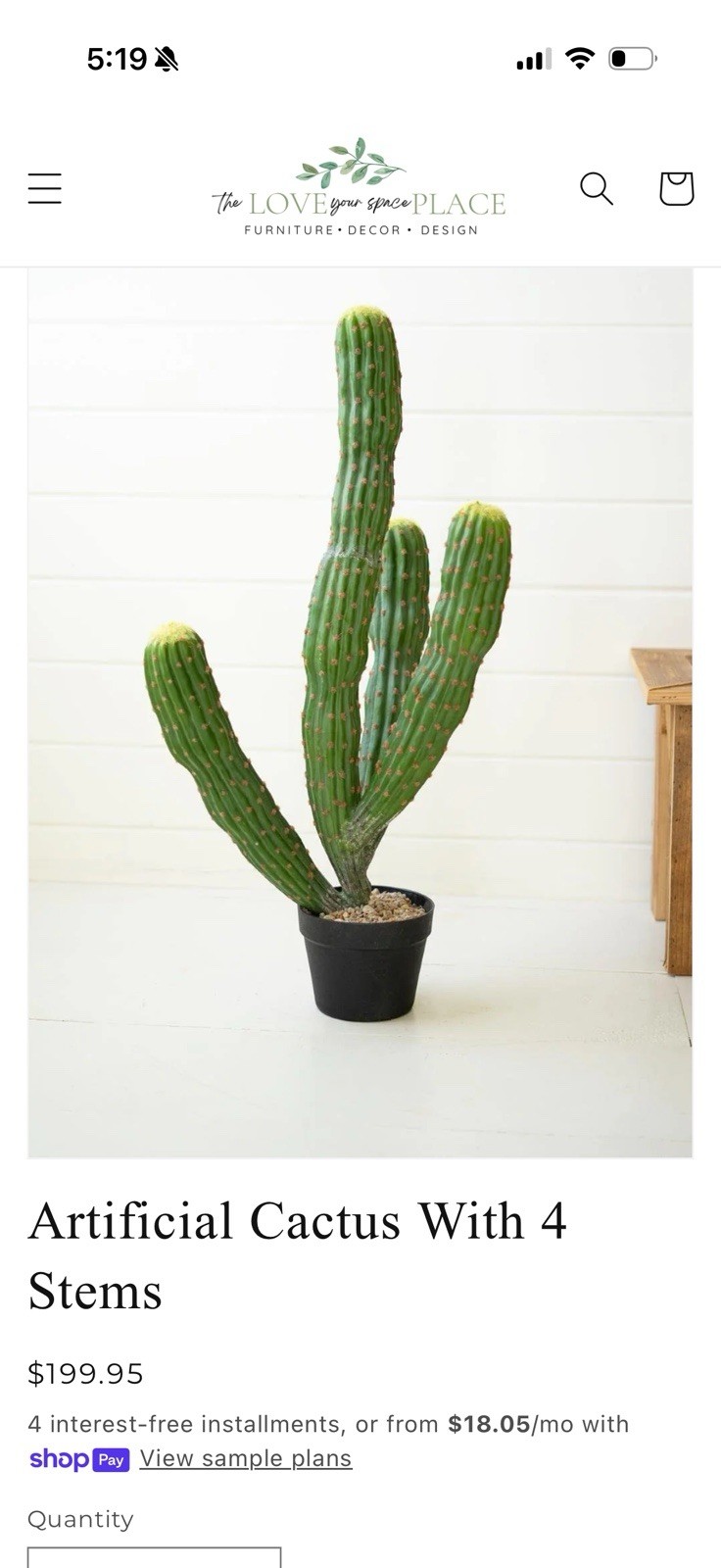 Artificial Cactus Set of 2 Faux Plant